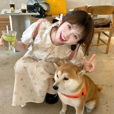 海岸物语